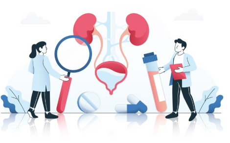 "Image of diseased kidneys affected by renal failure, with labeled parts of the renal system"